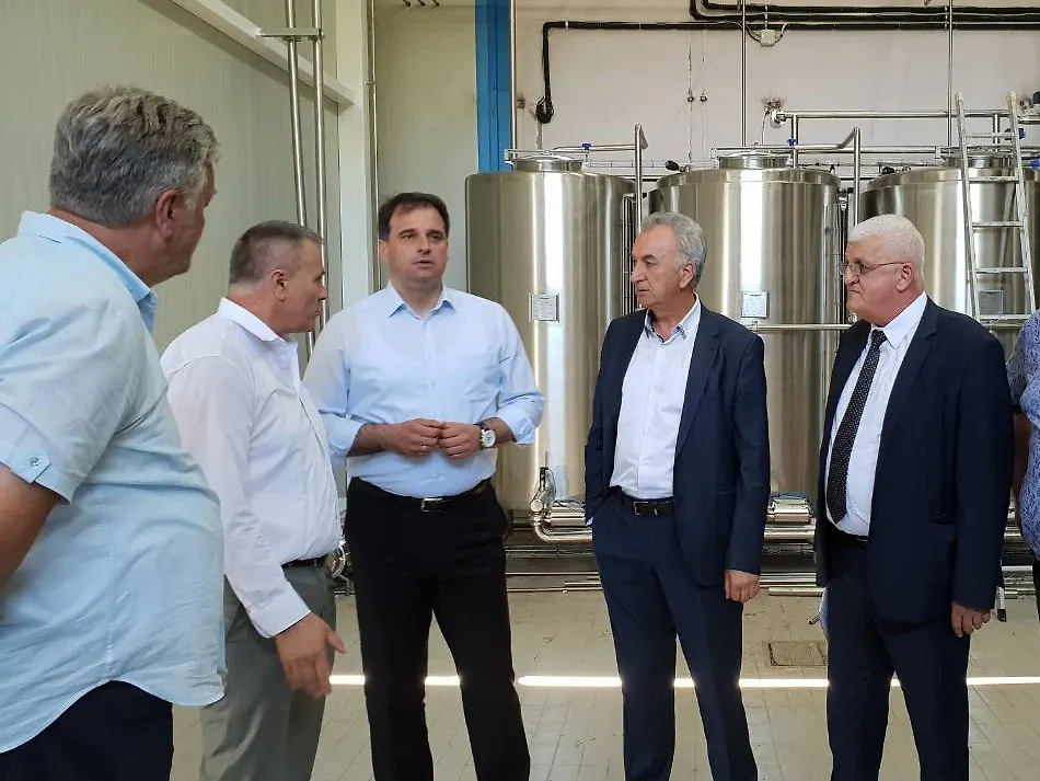 Great success for BiH dairy industry: Bosnia and Herzegovina can now export all kinds of dairy products to the EU