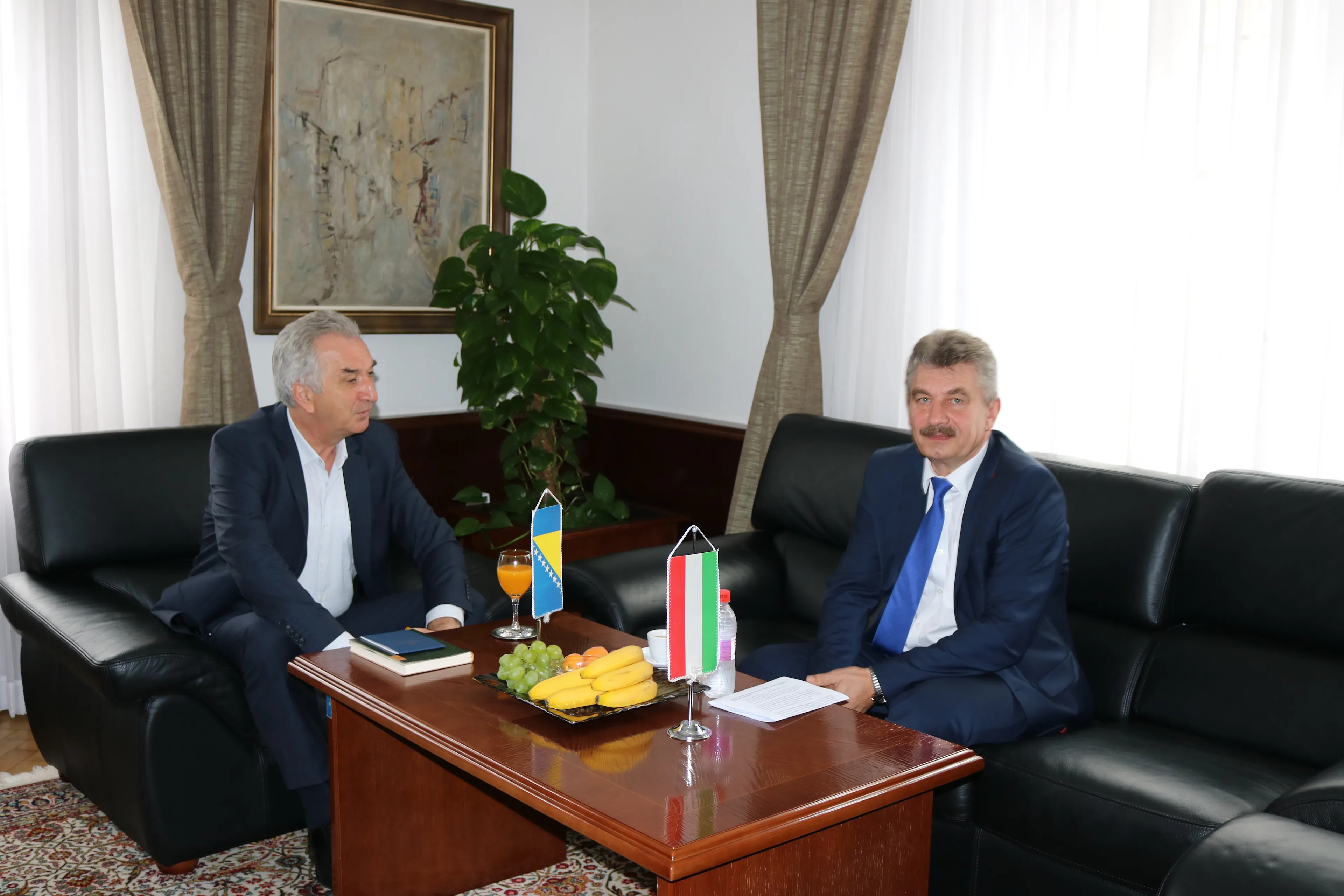 Šarović-Negyesi: Pozitivni efekti uvođenja avio linije Sarajevo-Budimpešta
