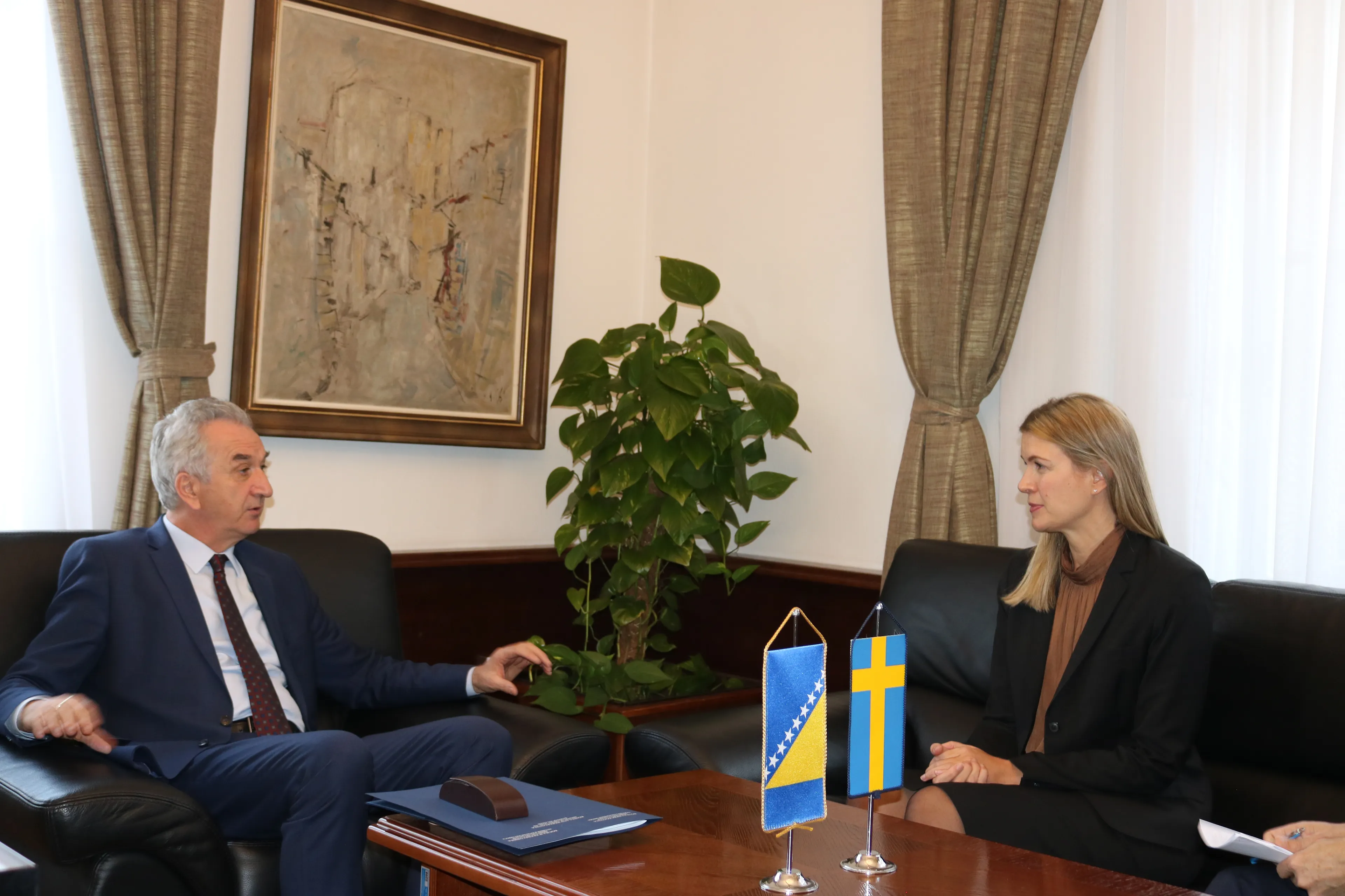 SAROVIC - STROMQUIST: Sweden is BiH's biggest individual donor