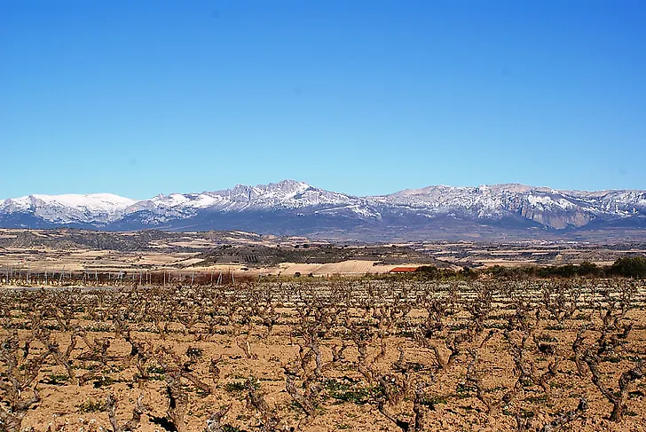 Preporuka za vinogradare
