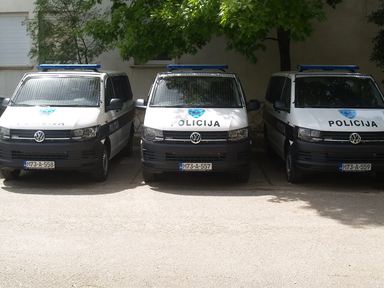 Галерија 1