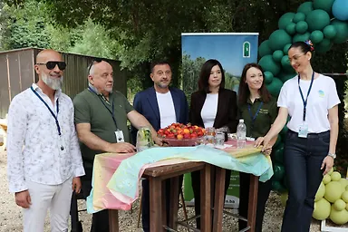 Галерија 6