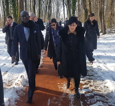Галерија 1