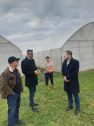 Галерија 4