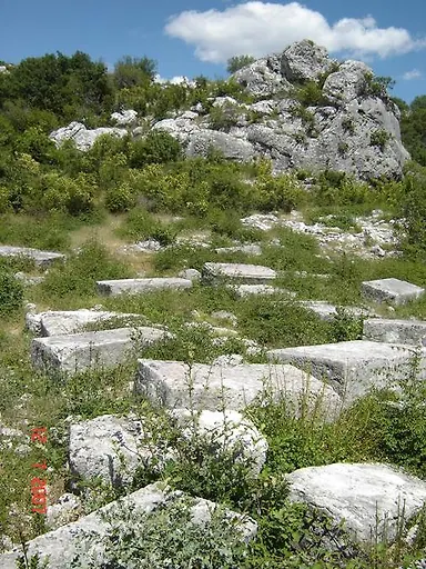Galerija 46