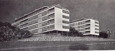 Galerija 11