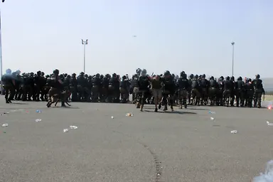 Галерија 5