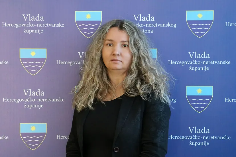 Стручна служба Владе
